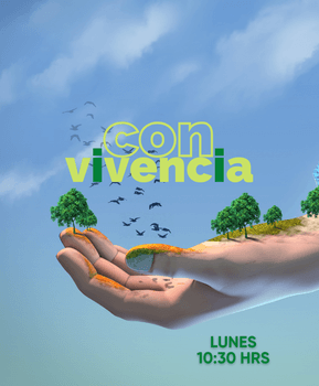 programa convivencia poster