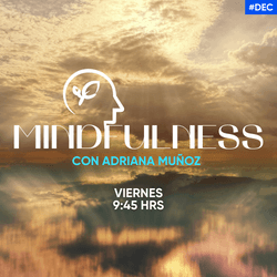 mindfulness-cover-desde-el-campus